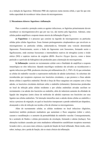 ou a indução da fagocitose. Diferentes PRR são expressos numa mesma célula, o que faz que esta
tenha capacidade de reconhecer várias classes de microrganismos.


2. Mecanismos efetores: fagocitose e inflamação


       Para o controle e proteção contra os agentes infecciosos, os fagócitos primeiramente devem
reconhecer os microrganismos-alvo que por sua vez, são mortos pela fagocitose. Ademais, estas
células podem amplificar a resposta imune através da inflamação (Figura 1).
       a) Fagocitose: é o processo que consiste na ingestão de microrganismos ou partículas
sólidas pelas células fagocíticas. Essas formam prolongamentos citoplasmáticos que envolvem os
microrganismos ou partículas sólidas, endocitando-os, formando uma vesícula denominada
fagossomo. Posteriormente, ocorre a fusão do fagossomo com lisossomos, formando assim o
fagolisossomo, onde enzimas lisossomais e intermediários reativos de nitrogênio (como o óxido
nítrico (NO) e espécies reativas de oxigênio (ROS- Reactive Oxygen Species, como o ânion
peróxido e o peróxido de hidrogênio) são produzidos para a destruição do microrganismo.
       b) Inflamação: consiste no recrutamento celular com a finalidade de amplificar a resposta
imunológica no sítio infeccioso. Quando macrófagos residentes são ativados ao reconhecerem o
agente infeccioso por PRR, produzem citocinas pró-inflamatórias (IL-1, TNF e IL-6) que estimulam
as células do endotélio vascular a expressarem moléculas de adesão (selectinas). As selectinas são
reconhecidas por receptores expressos nos leucócitos circulantes, o que promove a fraca adesão
destas células à superfície endotelial. Devido à força do fluxo sanguíneo em conjunto com a fraca
adesão, os leucócitos circulantes deslizam sobre o endotélio (rolamento). Quimiocinas produzidas
no local da infecção pelas células residentes e por células endoteliais ativadas auxiliam no
recrutamento e na adesão dos leucócitos ao endotélio, além de induzirem aumento da afinidade de
ligação das integrinas (outra classe de moléculas de adesão) expressas nos leucócitos aos seus
ligantes nas células endoteliais. Tal interação intensifica mais a adesão destas células ao endotélio e
inicia o processo de migração, no qual os leucócitos transpassam a parede endotelial por diapedese,
alcançando o sítio de infecção nos tecidos a fim de eliminar os microrganismos.
       Além do recrutamento celular, as células residentes no local infeccioso (fagócitos,
mastócitos) também produzem mediadores que aumentam o fluxo sanguíneo (rubor e calor),
causam a vasodilatação e o aumento da permeabilidade do endotélio vascular. Consequentemente,
há o acúmulo de fluídos e células provenientes da circulação, formando o edema (inchaço). Tais
alterações teciduais causadas por estes mediadores inflamatórios sensibilizam receptores neuronais
levando à dor e, em casos mais crônicos, à perda de função do local inflamado. Deste modo, calor,
rubor, inchaço, dor e perda de função, são os sinais clínicos da inflamação.
 