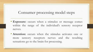 Consumer processing model steps
• Exposure: occurs when a stimulus or message comes
within the range of the individual’s sensory receptor
nerves.
• Attention: occurs when the stimulus activates one or
more sensory receptors nerves and the resulting
sensations go to the brain for processing.
 