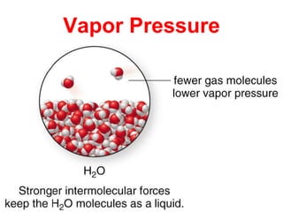 49
Vapor Pressure
 