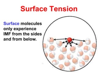58
Surface Tension
Surface molecules
only experience
IMF from the sides
and from below.
 