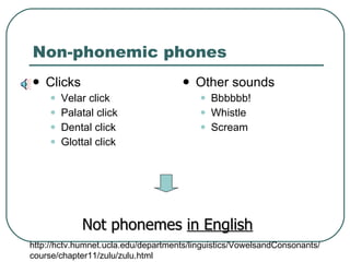 Non-phonemic phones Clicks Velar click Palatal click Dental click Glottal click Other sounds Bbbbbb! Whistle Scream  Not phonemes  in English http://hctv.humnet.ucla.edu/departments/linguistics/VowelsandConsonants/course/chapter11/zulu/zulu.html 