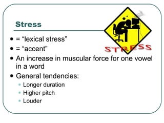 Stress = “lexical stress” = “accent” An increase in muscular force for one vowel in a word General tendencies: Longer duration Higher pitch Louder  