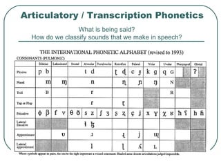 Articulatory / Transcription Phonetics What is being said? How do we classify sounds that we make in speech? 