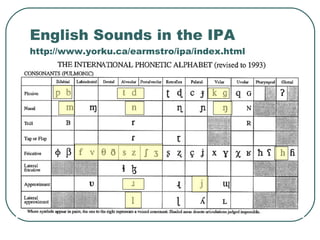 English Sounds in the IPA http://www.yorku.ca/earmstro/ipa/index.html 