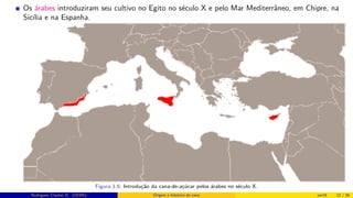 Os árabes introduziram seu cultivo no Egito no século X e pelo Mar Mediterrâneo, em Chipre, na
Sicília e na Espanha.
Figura 1.6: Introdução da cana-de-açúcar pelos árabes no século X.
Rodrigues, Clauber D. (UEMS) Origem e histórico da cana jan16 12 / 56
 