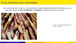 A sua importância para humanidade
A cana-de-açúcar é, talvez, o único produto de origem agrícola destinado à alimentação que ao
longo dos séculos foi alvo de disputas e conquistas, mobilizando homens e nações.
Figura 1.1: Foto da cana-de-açúcar.
Fonte: wikipedia
Rodrigues, Clauber D. (UEMS) Origem e histórico da cana jan16 4 / 56
 