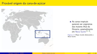 Provável origem da cana-de-açúcar
As canas tropicais
parecem ser originárias
das maiores ilhas da
Oceania, possivelmente
em Nova Guiné [1, 2]
.
Figura 1.2: Mapa mundo destacando a
Nova Guiné.
Rodrigues, Clauber D. (UEMS) Origem e histórico da cana jan16 7 / 56
 