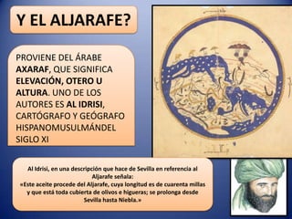 Y EL ALJARAFE?
PROVIENE DEL ÁRABE
AXARAF, QUE SIGNIFICA
ELEVACIÓN, OTERO U
ALTURA. UNO DE LOS
AUTORES ES AL IDRISI,
CARTÓGRAFO Y GEÓGRAFO
HISPANOMUSULMÁNDEL
SIGLO XI
Al Idrisi, en una descripción que hace de Sevilla en referencia al
Aljarafe señala:
«Este aceite procede del Aljarafe, cuya longitud es de cuarenta millas
y que está toda cubierta de olivos e higueras; se prolonga desde
Sevilla hasta Niebla.»

 