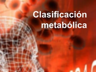 Clasificación metabólica 
