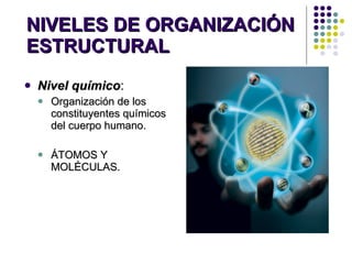 NIVELES DE ORGANIZACIÓN
NIVELES DE ORGANIZACIÓN
ESTRUCTURAL
ESTRUCTURAL
 Nivel químico
Nivel químico:
:
 Organización de...