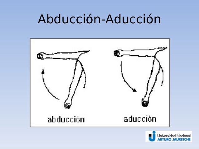 01 introduccion a la anatomia