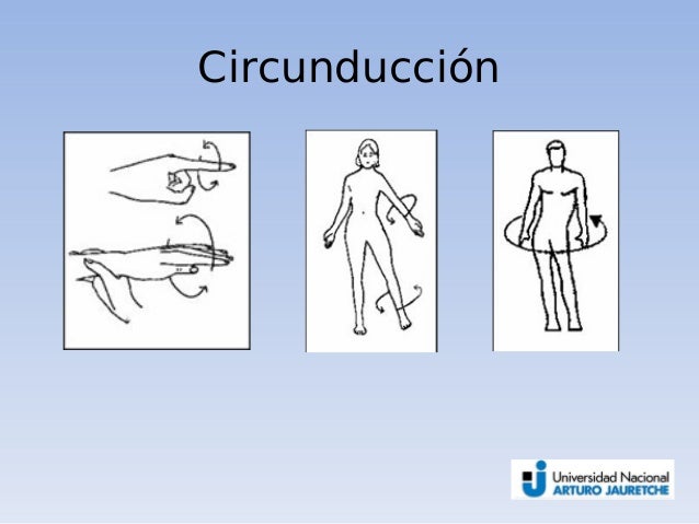 INTRODUCCIÓN Y CONCEPTOS - Dra. Paulina Toscano_Anatomia y Fisiología.