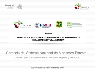 Zapopan Jalisco, 08 de febrero de 2017
Gerencia del Sistema Nacional de Monitoreo Forestal
Unidad Técnica Especializada en Monitoreo Reporte y Verificación
 