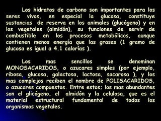 Los hidratos de carbono son importantes para los
seres vivos, en especial la glucosa, constituye
sustancias  de reserva en los animales (glucógeno) y en
los vegetales (almidón), su funciones de servir de
combustible en los procesos metabólicos, aunque
contienen menos energía que las grasas (1 gramo de
glucosa es igual a 4.1 calorías ).
Los mas sencillos se denominan
MONOSACARIDOS, o azucares simples (por ejemplo,
ribosa, glucosa, galactosa, lactosa, sacarosa ), y los
mas complejos reciben el nombre de POLISACARIDOS,
o azucares compuestos. Entre estos; los mas abundantes
son el glicógeno, el  almidón y la celulosa, que es el
material estructural fundamental de todos los
organismos vegetales.
 