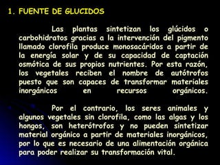 1. FUENTE DE GLUCIDOS
Las plantas sintetizan los glúcidos o
carbohidratos gracias a la intervención del pigmento
llamado clorofila produce monosacáridos a partir de
la energía solar y de su capacidad de captación
osmótica de sus propios nutrientes. Por esta razón,
los vegetales reciben el nombre de autótrofos
puesto que son capaces de transformar materiales
inorgánicos en recursos orgánicos.
Por el contrario, los seres animales y
algunos vegetales sin clorofila, como las algas y los
hongos, son heterótrofos y no pueden sintetizar
material orgánico a partir de materiales inorgánicos,
por lo que es necesario de una alimentación orgánica
para poder realizar su transformación vital.
 