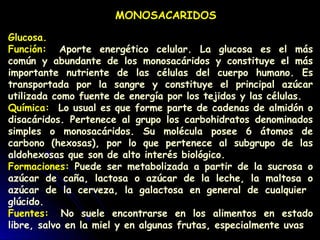 Glucosa.
Función:  Aporte energético celular. La glucosa es el más
común y abundante de los monosacáridos y constituye el más
importante nutriente de las células del cuerpo humano. Es
transportada por la sangre y constituye el principal azúcar
utilizada como fuente de energía por los tejidos y las células.
Química:  Lo usual es que forme parte de cadenas de almidón o
disacáridos. Pertenece al grupo los carbohidratos denominados
simples o monosacáridos. Su molécula posee 6 átomos de
carbono (hexosas), por lo que pertenece al subgrupo de las
aldohexosas que son de alto interés biológico.
Formaciones: Puede ser metabolizada a partir de la sucrosa o
azúcar de caña, lactosa o azúcar de la leche, la maltosa o
azúcar de la cerveza, la galactosa en general de cualquier
glúcido.
Fuentes:  No suele encontrarse en los alimentos en estado
libre, salvo en la miel y en algunas frutas, especialmente uvas
MONOSACARIDOS
 