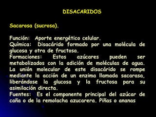 DISACARIDOS
Sacarosa (sucrosa).
Función:  Aporte energético celular.
Química:  Disacárido formado por una molécula de
glucosa y otra de fructosa.
Formaciones: Estos azúcares pueden ser
metabolizados con la adición de moléculas de agua.
La unión molecular de este disacárido se rompe
mediante la acción de un enzima llamada sacarasa,
liberándose la glucosa y la fructosa para su
asimilación directa.
Fuentes:  Es el componente principal del azúcar de
caña o de la remolacha azucarera. Piñas o ananas
 