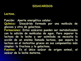 Lactosa.
Función:  Aporte energético celular.
Química:  Disacárido formado por una molécula de
glucosa y otra de galactosa.
Formaciones: Estos azúcares pueden ser metabolizados
con la adición de moléculas de agua. Para separar la
lactosa de la leche y ser asimilada se necesita la
acción de un enzima llamada lactasa, que separa la
lactosa en el instestino grueso en sus componentes más
simples: la fructosa y la galactosa.
Fuentes:  Es el único azúcar de origen animal, el
azúcar de la leche materna.
DISACARIDOS
 