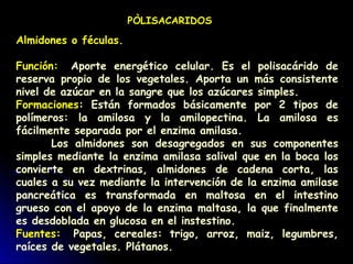 PÒLISACARIDOS
Almidones o féculas.
Función:  Aporte energético celular. Es el polisacárido de
reserva propio de los vegetales. Aporta un más consistente
nivel de azúcar en la sangre que los azúcares simples.
Formaciones: Están formados básicamente por 2 tipos de
polímeros: la amilosa y la amilopectina. La amilosa es
fácilmente separada por el enzima amilasa.
Los almidones son desagregados en sus componentes
simples mediante la enzima amilasa salival que en la boca los
convierte en dextrinas, almidones de cadena corta, las
cuales a su vez mediante la intervención de la enzima amilase
pancreática es transformada en maltosa en el intestino
grueso con el apoyo de la enzima maltasa, la que finalmente
es desdoblada en glucosa en el instestino.
Fuentes:  Papas, cereales: trigo, arroz, maiz, legumbres,
raíces de vegetales. Plátanos.
 