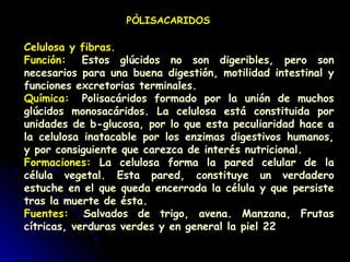 Celulosa y fibras.
Función:  Estos glúcidos no son digeribles, pero son
necesarios para una buena digestión, motilidad intestinal y
funciones excretorias terminales.
Química:  Polisacáridos formado por la unión de muchos
glúcidos monosacáridos. La celulosa está constituida por
unidades de b-glucosa, por lo que esta peculiaridad hace a
la celulosa inatacable por los enzimas digestivos humanos,
y por consiguiente que carezca de interés nutricional.
Formaciones: La celulosa forma la pared celular de la
célula vegetal. Esta pared, constituye un verdadero
estuche en el que queda encerrada la célula y que persiste
tras la muerte de ésta.
Fuentes:  Salvados de trigo, avena. Manzana, Frutas
cítricas, verduras verdes y en general la piel 22
PÒLISACARIDOS
 