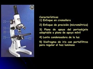 Características
1) Enfoque en cremallera
2) Enfoque de precisión (micrométrica)
3) Plano de apoyo del portaobjeto
adaptable a plano de apoyo móvil
4) Lente condensadora de la luz
5) Diafragma de iris con portafiltros
para regular el haz luminoso
 
