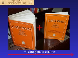 +

Texto para el estudio
 