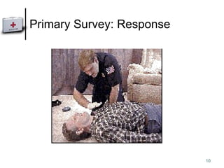 Primary Survey: Response 