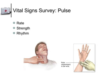 Vital Signs Survey:  Pulse   Rate Strength Rhythm 