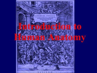Introduction to Human Anatomy 