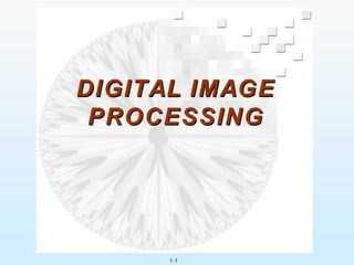 1.1
DIGITAL IMAGEDIGITAL IMAGE
PROCESSINGPROCESSING
 