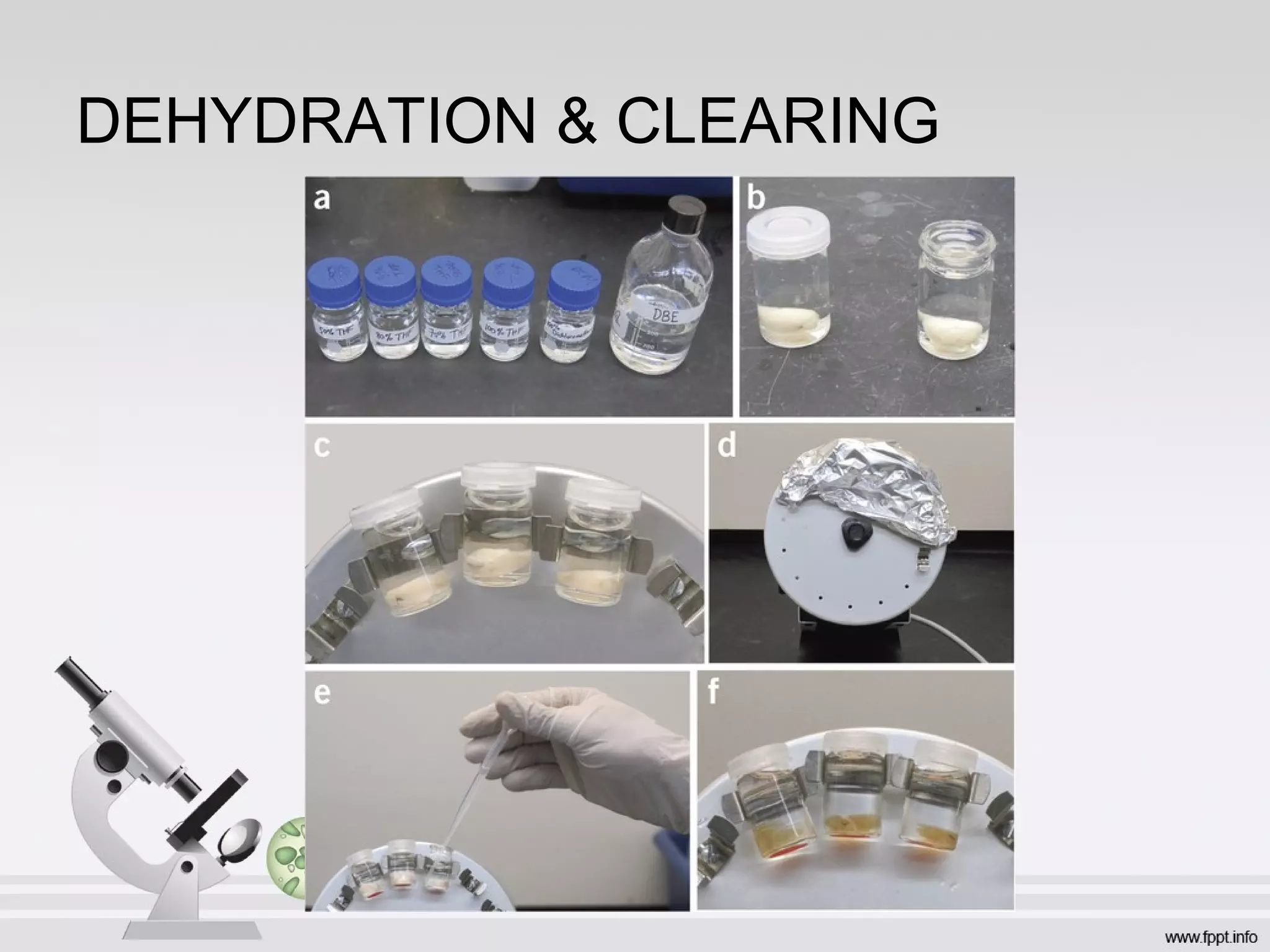 DEHYDRATION & CLEARING
 