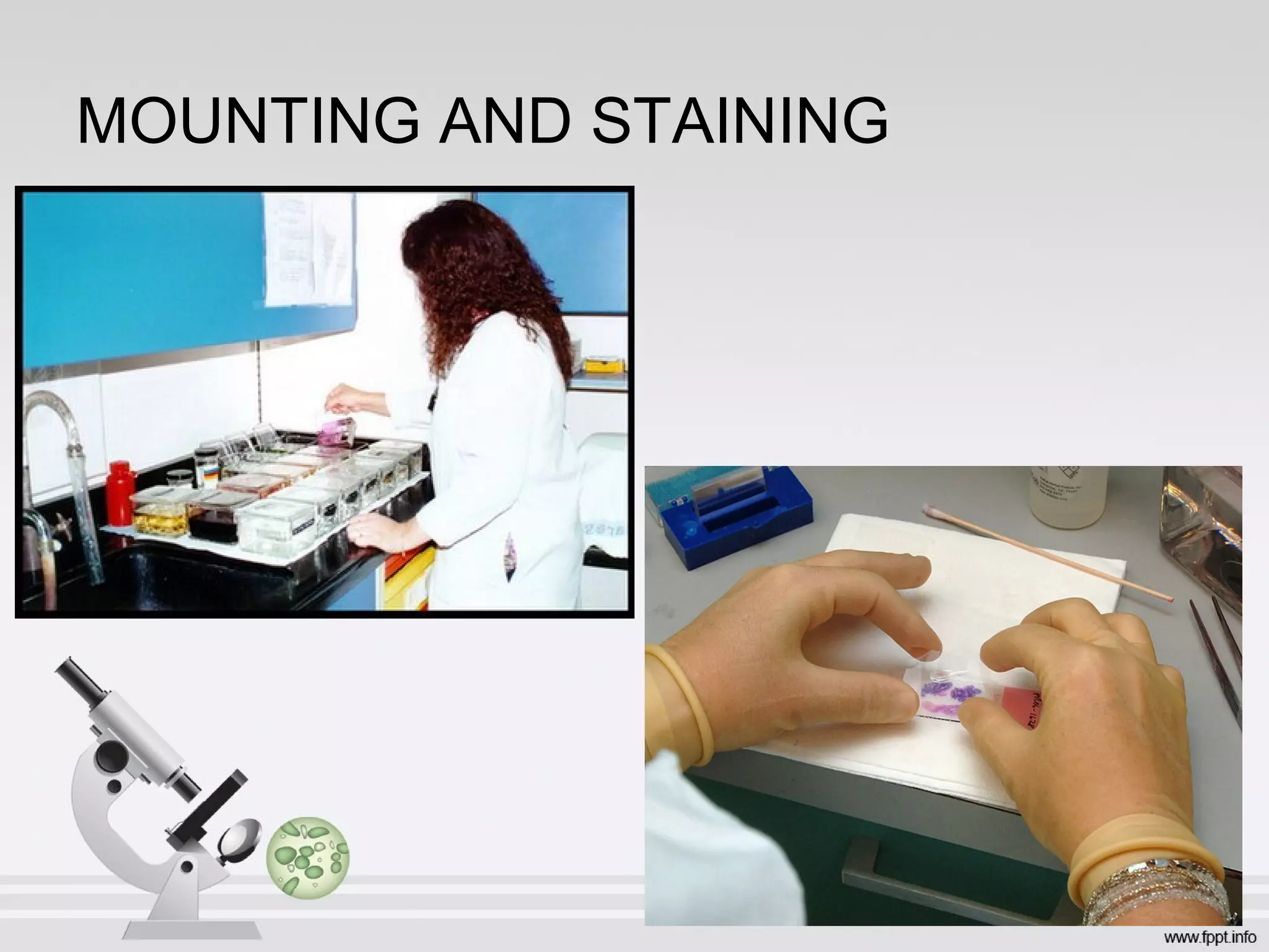 MOUNTING AND STAINING
 