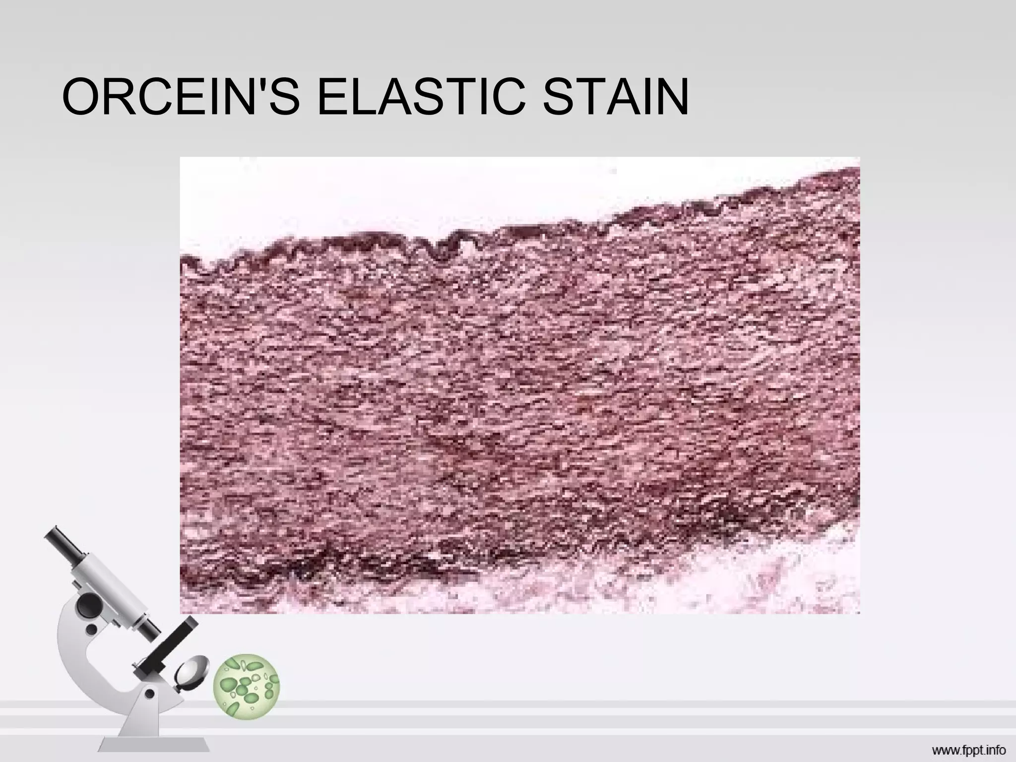 ORCEIN'S ELASTIC STAIN
 