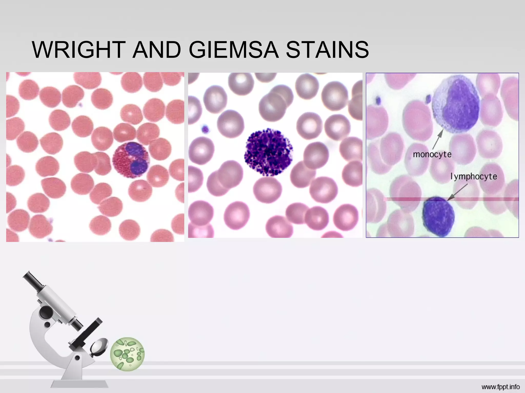 WRIGHT AND GIEMSA STAINS
 