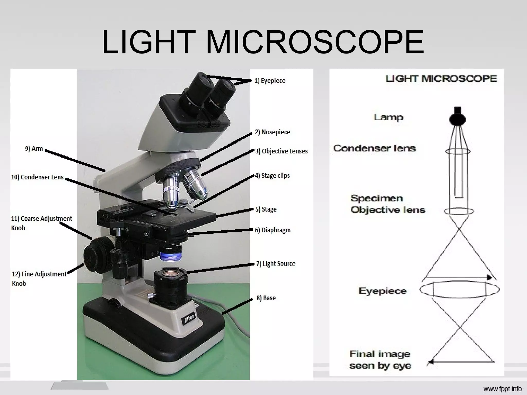LIGHT MICROSCOPE
 