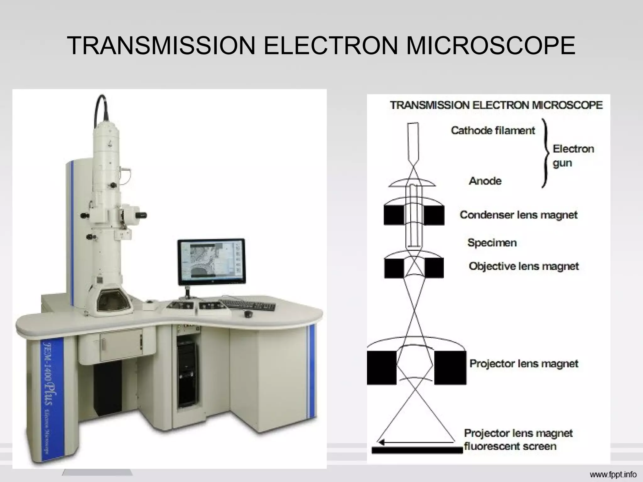 TRANSMISSION ELECTRON MICROSCOPE
 