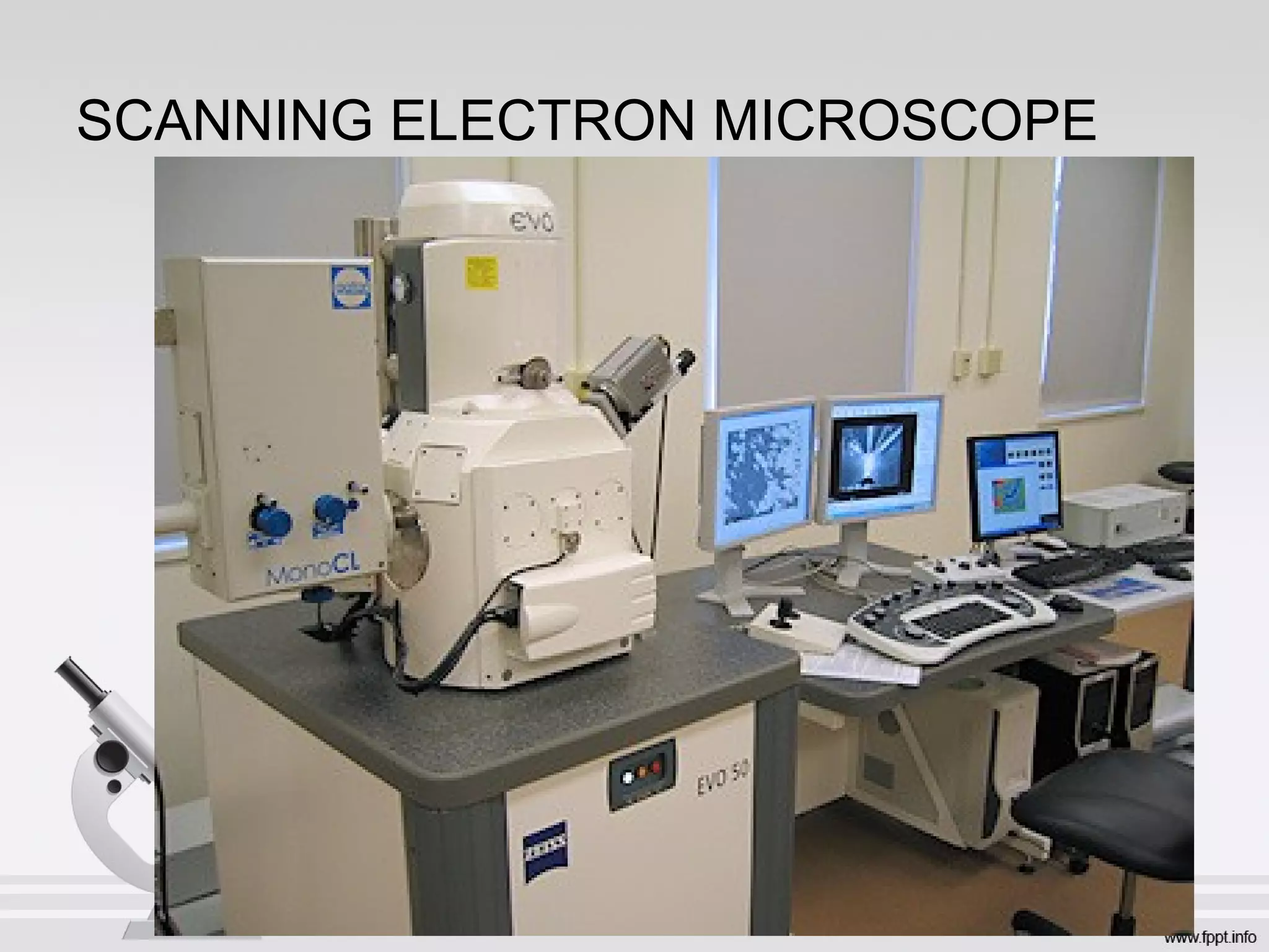 SCANNING ELECTRON MICROSCOPE
 