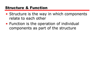 01 introduction | PPT