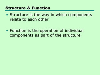 Structure & Function
• Structure is the way in which components
relate to each other
• Function is the operation of individual
components as part of the structure
 