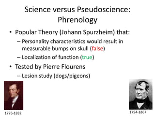 Science versus Pseudoscience:
                     Phrenology
  • Popular Theory (Johann Spurzheim) that:
      – Personality characteristics would result in
        measurable bumps on skull (false)
      – Localization of function (true)
  • Tested by Pierre Flourens
      – Lesion study (dogs/pigeons)




1776-1832                                             1794-1867
 