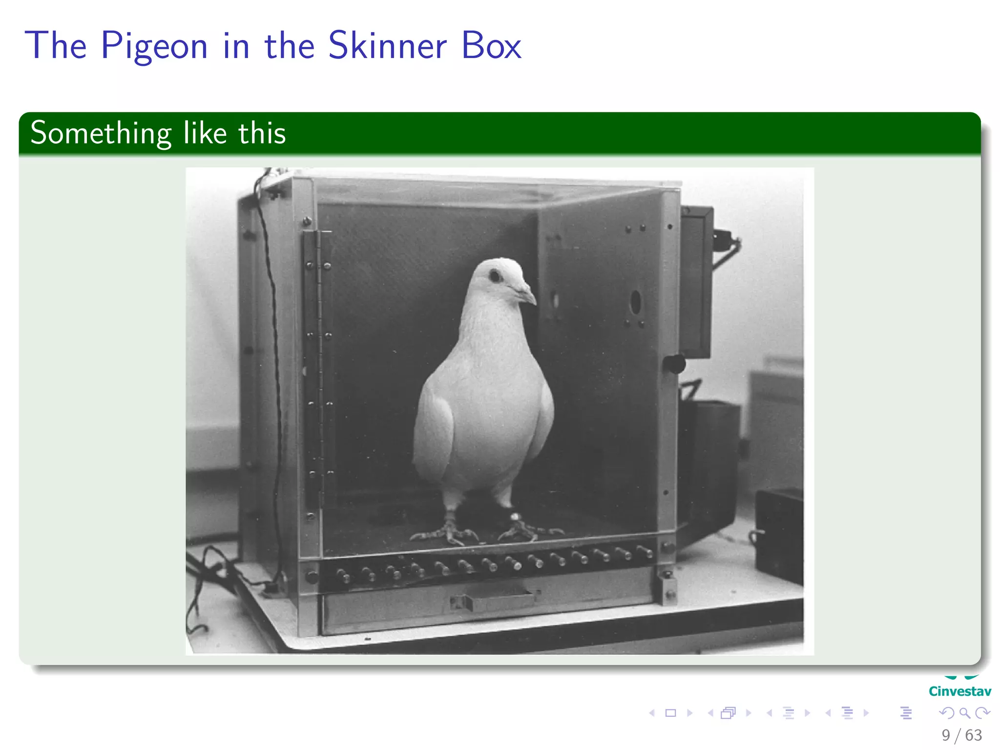 The Pigeon in the Skinner Box
Something like this
9 / 63
 