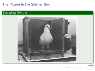 The Pigeon in the Skinner Box
Something like this
9 / 63
 