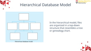 36
Hierarchical Database Model
In the hierarchical model, files
are organized in a top-down
structure that resembles a tree
or genealogy chart.
 