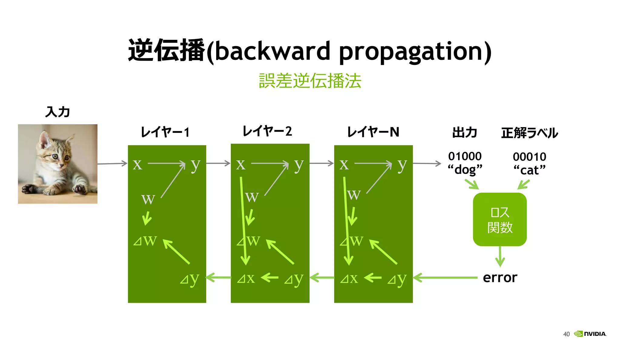40
w
x y
w
x y
w
x y 01000
“dog”
00010
“cat”
ロス
関数
error⊿y⊿x⊿y⊿x⊿y
⊿w⊿w⊿w
逆伝播(backward propagation)
誤差逆伝播法
レイヤー1 レイヤー2
入力
出力レイヤーN 正解ラベル
 