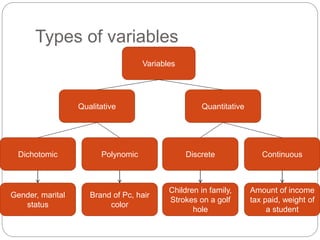 A basic Introduction To Statistics with examples | PPT