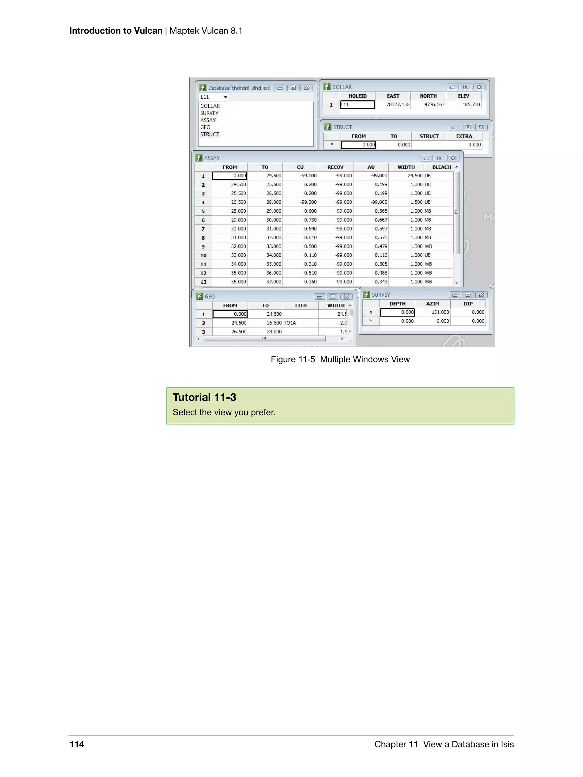 Introduction to Vulcan | Maptek Vulcan 8.1
114 Chapter 11 View a Database in Isis
Figure 11-5 Multiple Windows View
Tutorial 11-3
Select the view you prefer.
 
