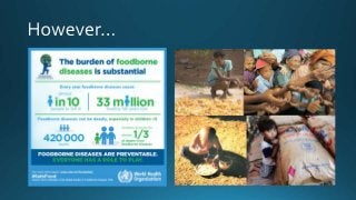 Food and Agriculture
Organization of the
United Nations
 