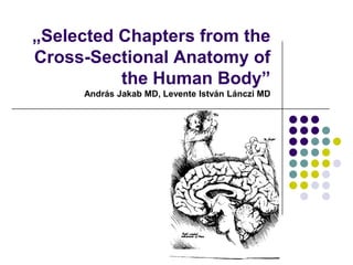 „SelectedChaptersfromtheCross-SectionalAnatomy ofthe Human Body”András Jakab MD, Levente István Lánczi MD 
