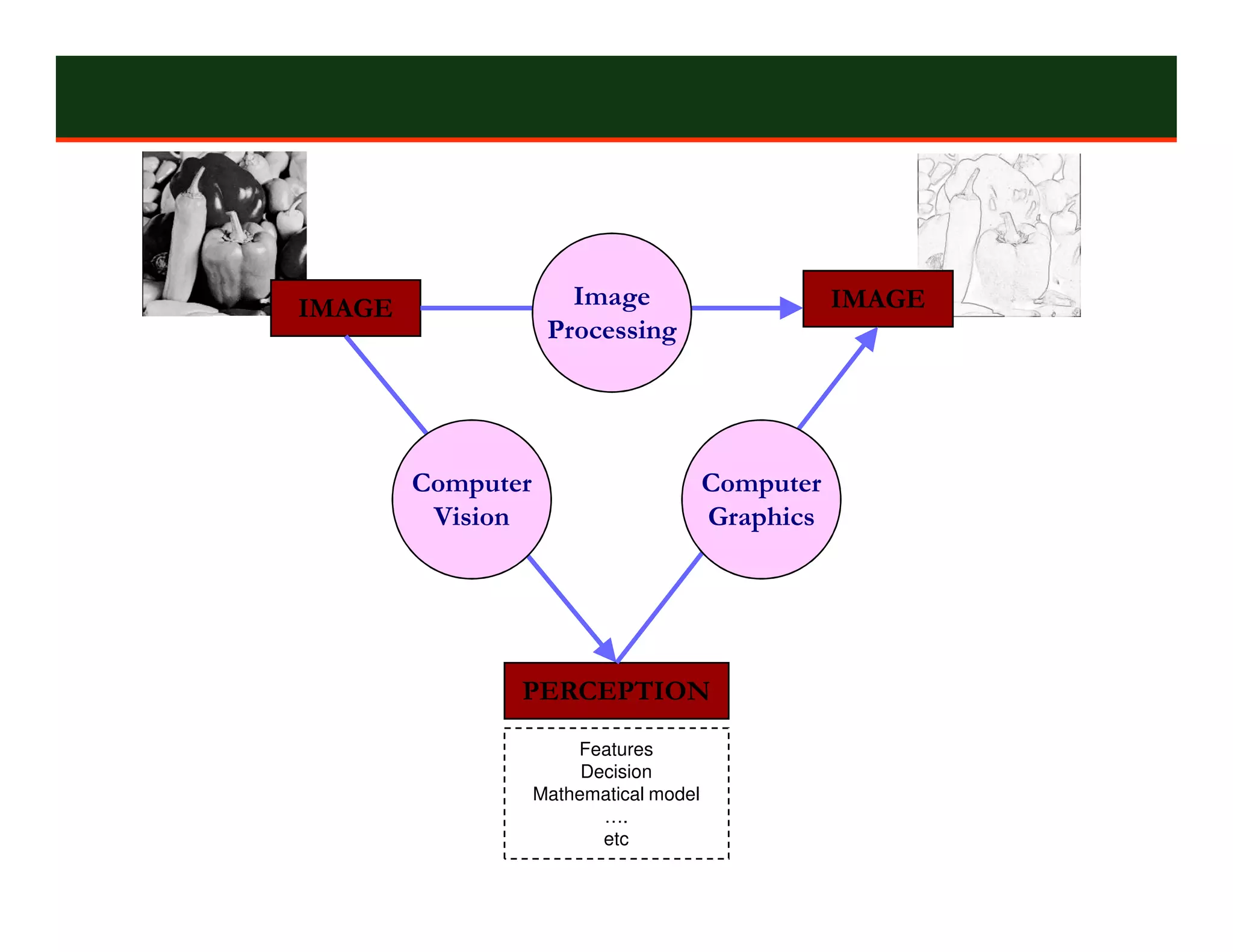 IMAGE                 Image                        IMAGE
                    Processing




        Computer                        Computer
         Vision                         Graphics




               PERCEPTION
                       Features
                        Decision
                   Mathematical model
                          ….
                          etc
 