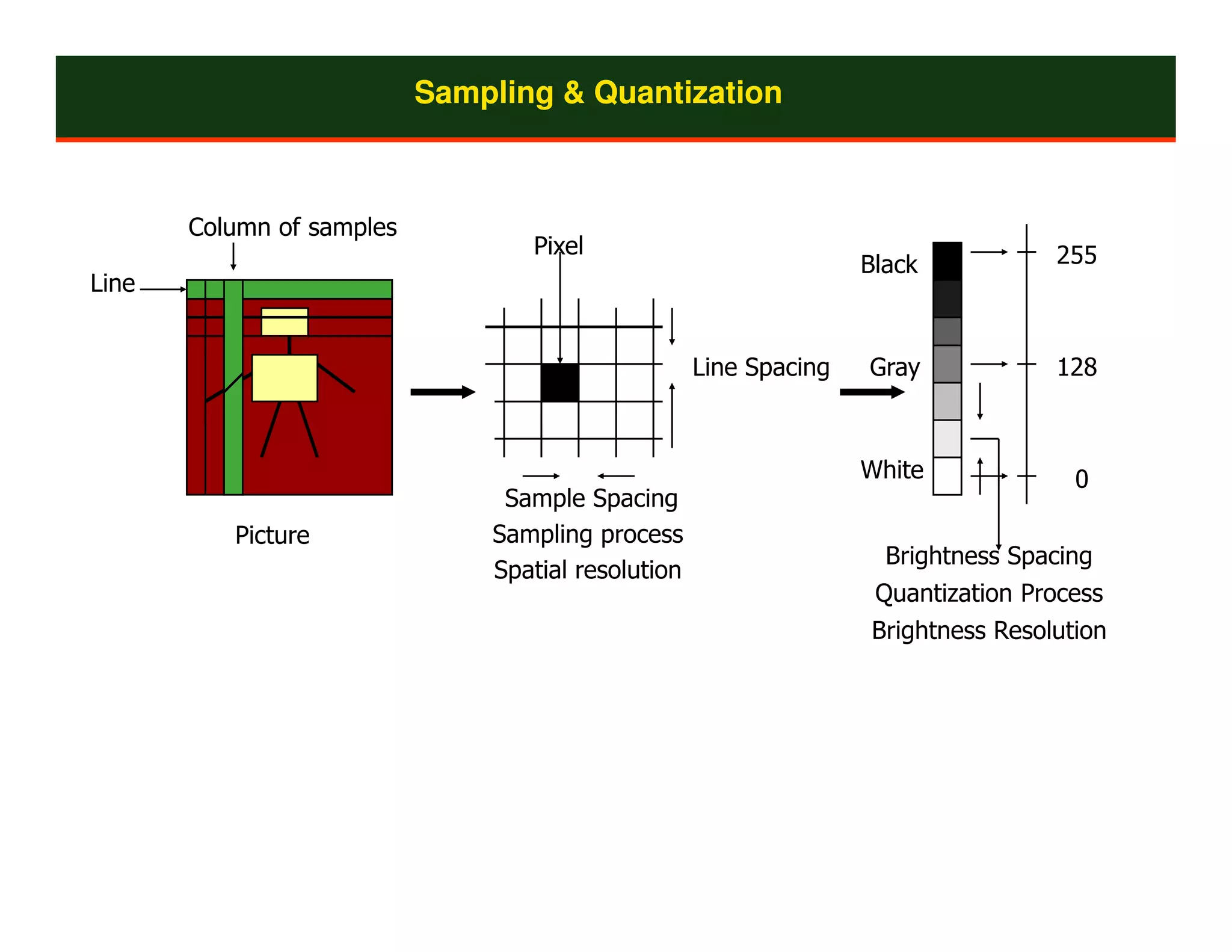 Sampling & Quantization



       Column of samples
                                  Pixel                                            255
                                                                   Black
Line


                                                    Line Spacing   Gray            128



                                                                   White             0
                                Sample Spacing
          Picture              Sampling process
                                                                     Brightness Spacing
                               Spatial resolution
                                                                    Quantization Process
                                                                   Brightness Resolution
 